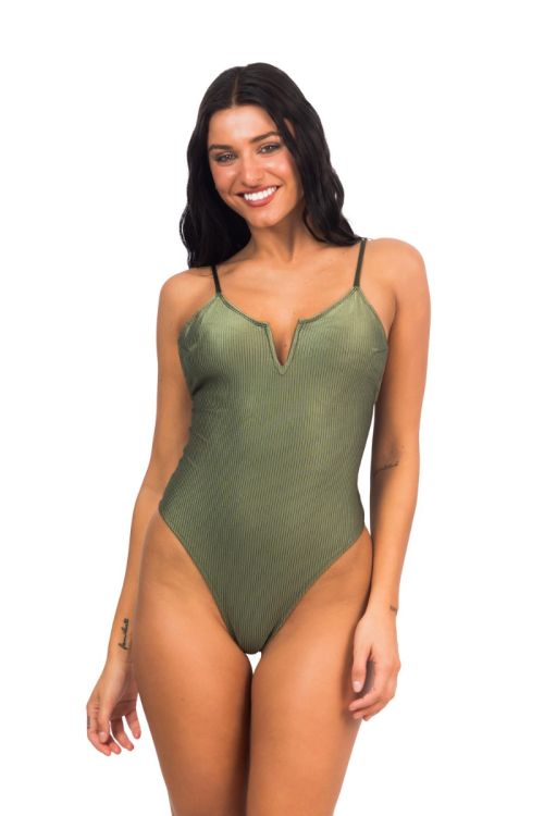 Entera Colaless Reina Bonsai